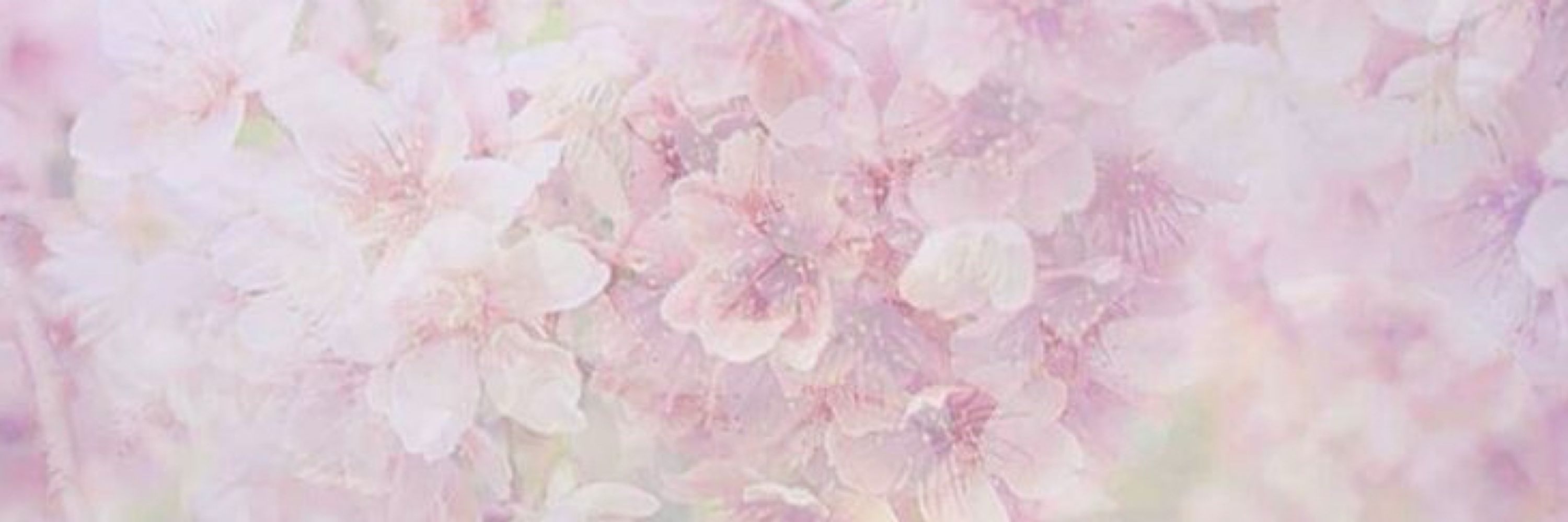 𐙚 Bcuz_s 🌷