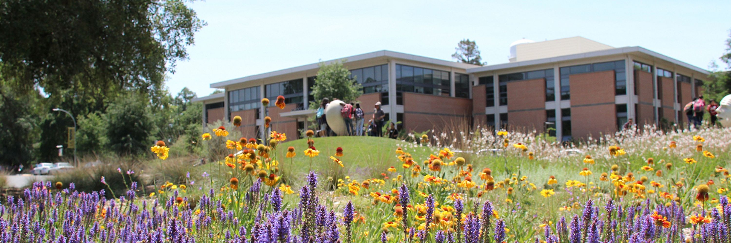 UC Davis Law Center for Innovation, Law, and Society 
