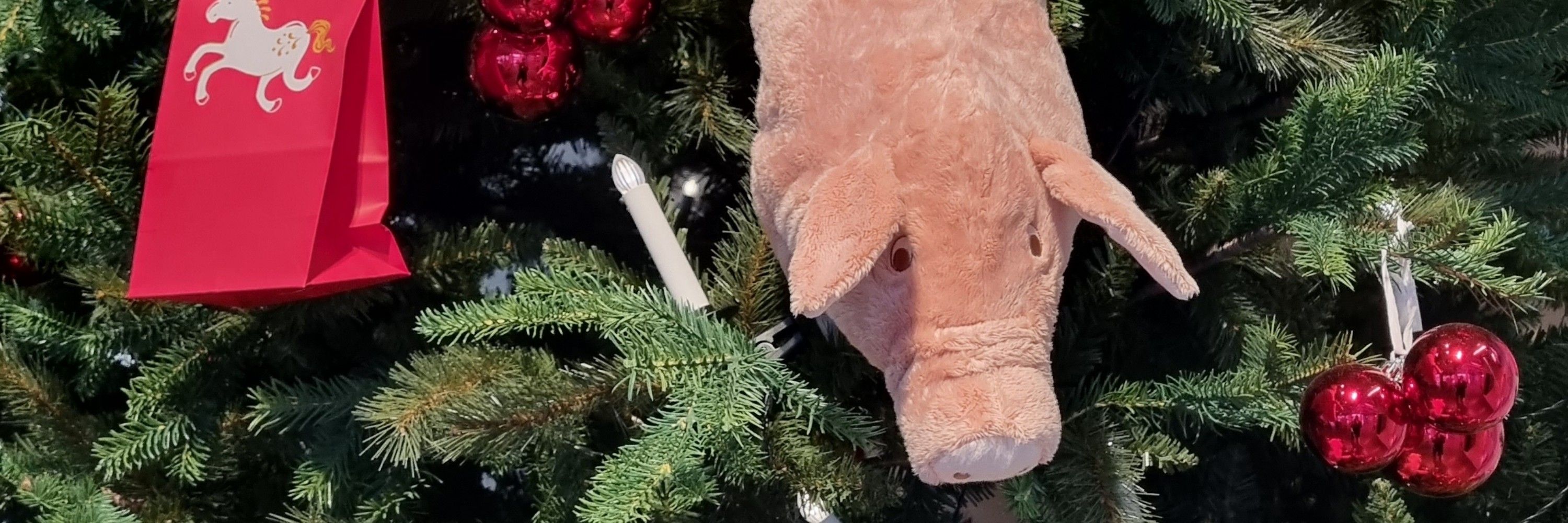 Jördis