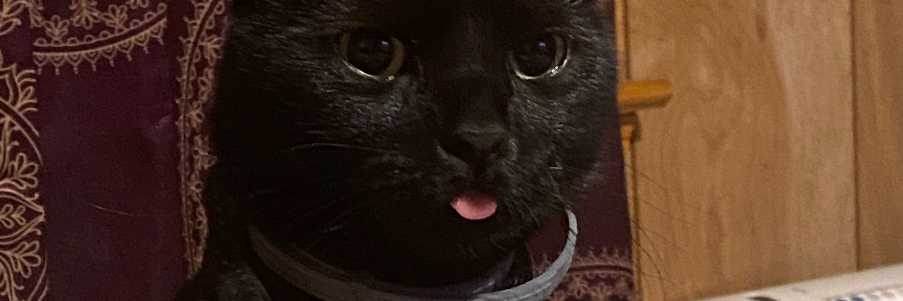 tippitymac