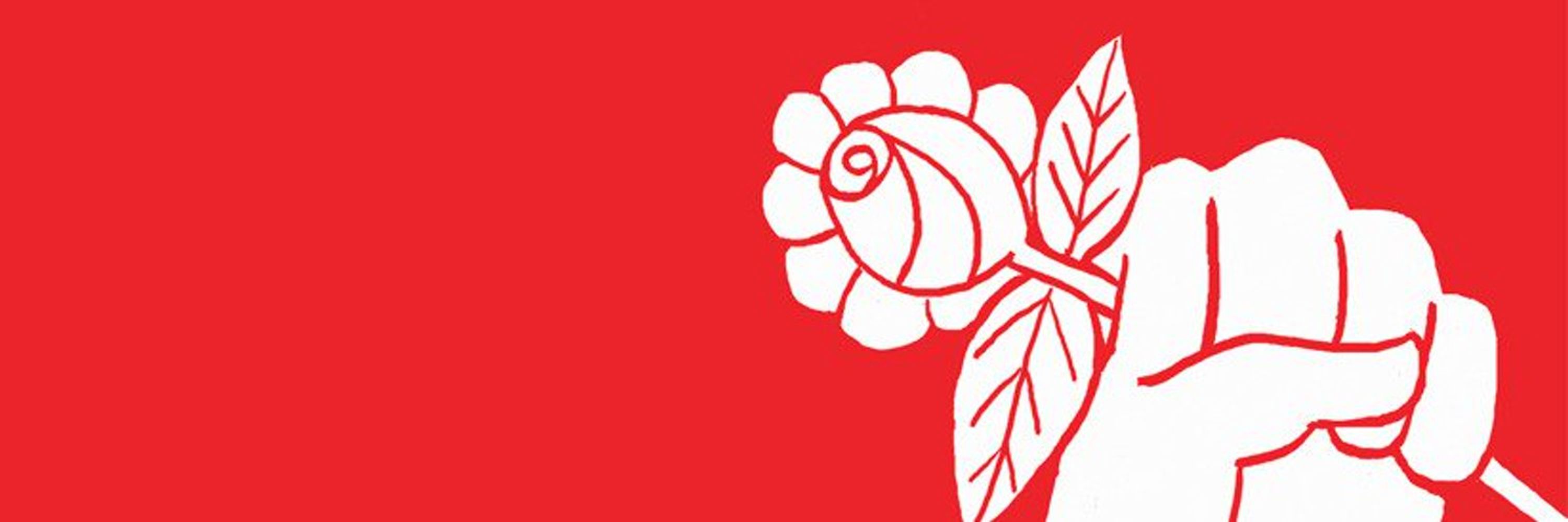 NYC-DSA 🌹
