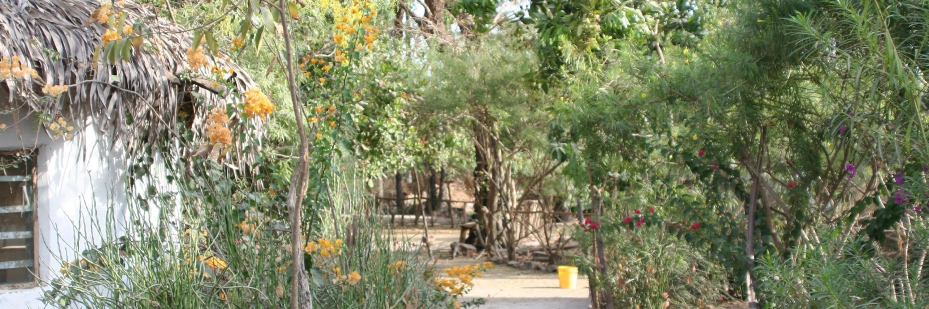 Balaba Nature Camp, The Gambia