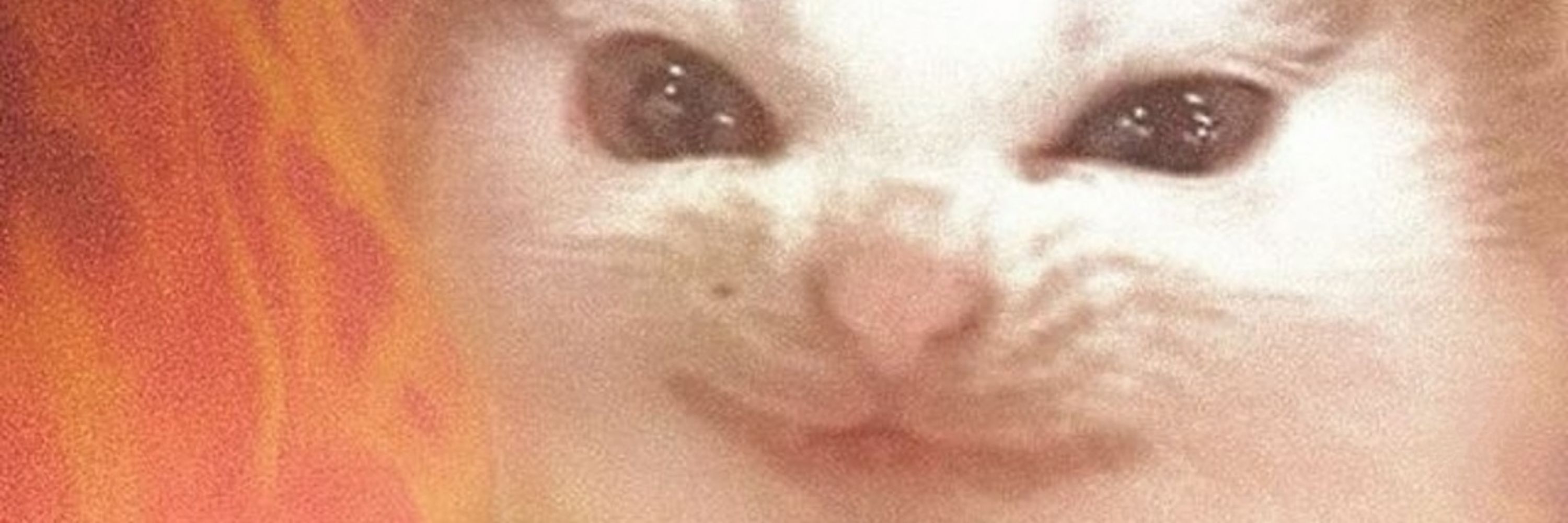 Schrödinger's Kat