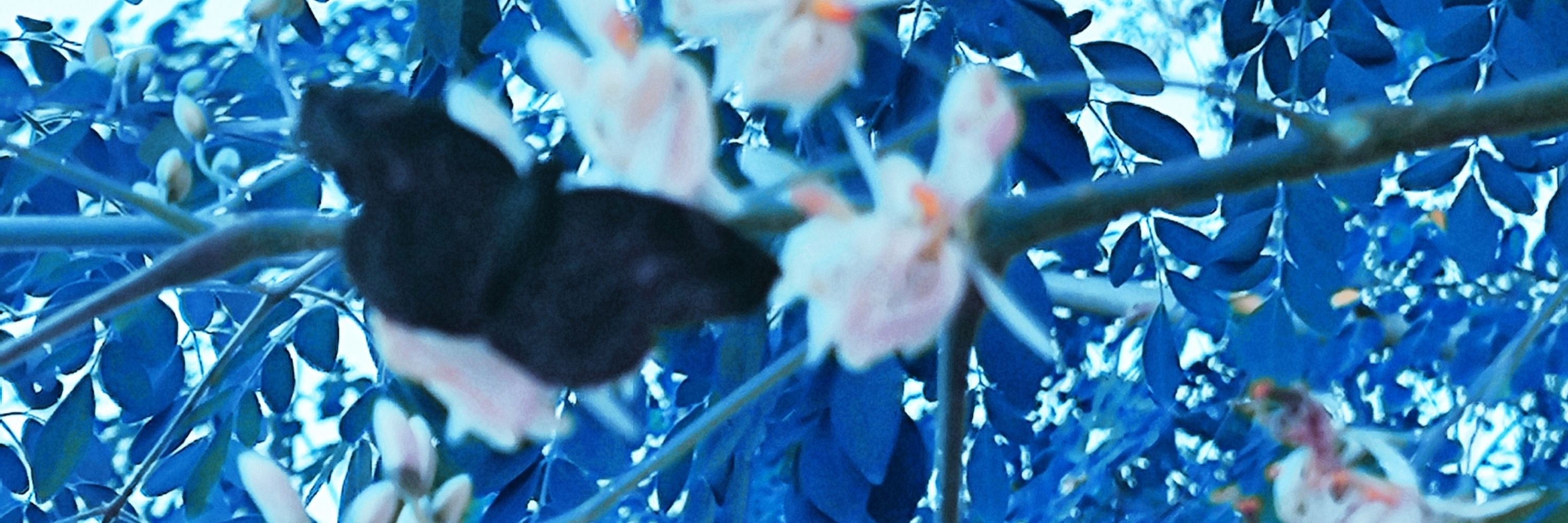 UnAutreLundiBleu