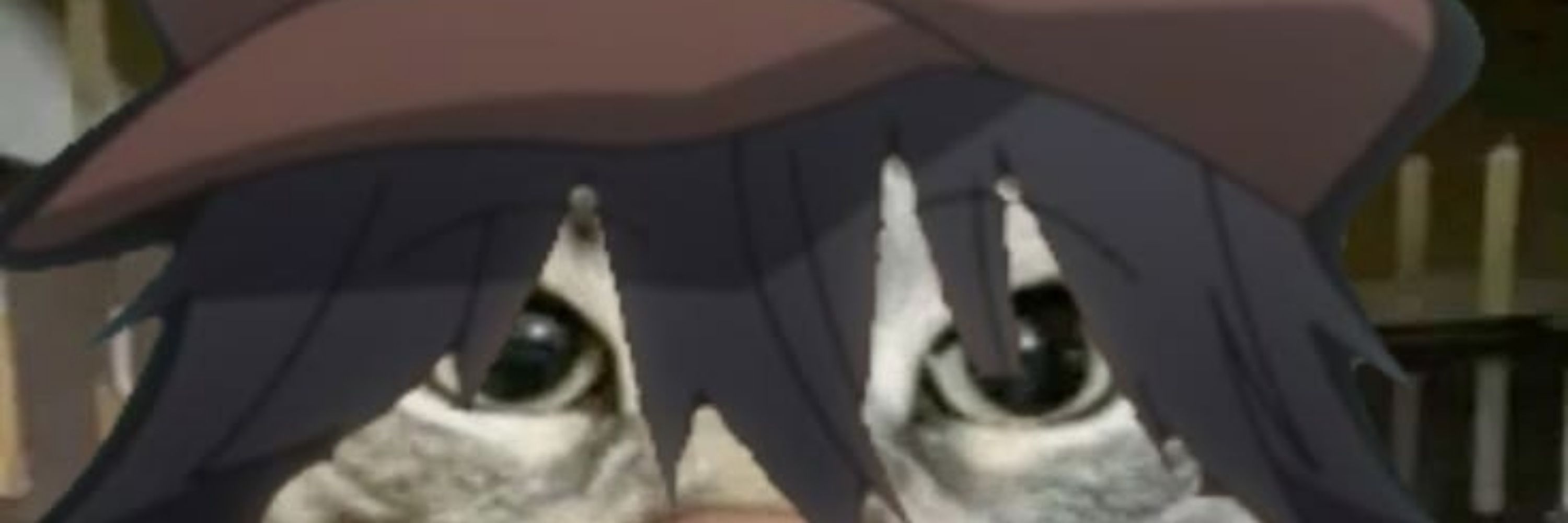 Kattalyst