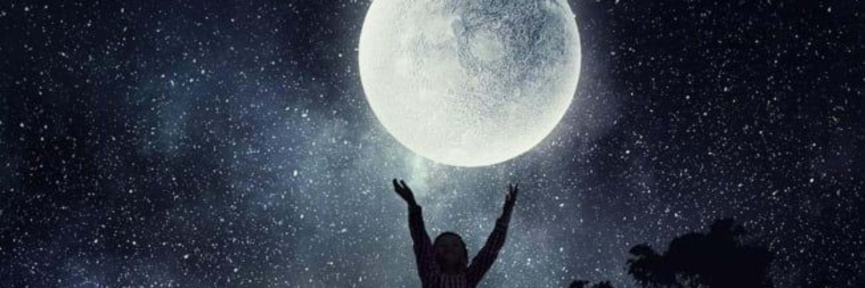 🌘Mel🌒