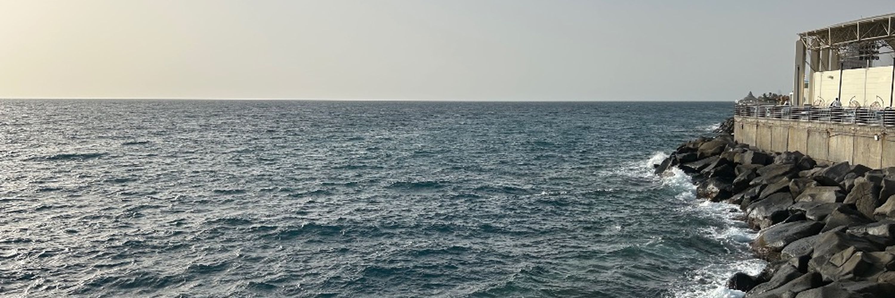 Ahmed Al Omran