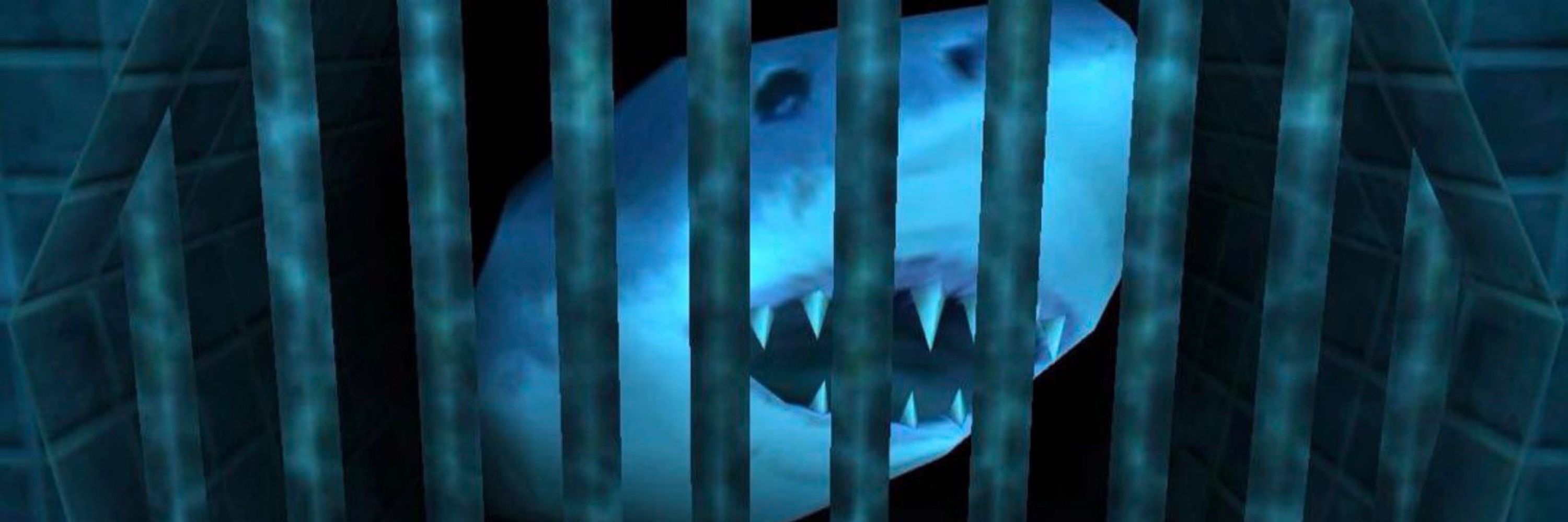 Mr. Shark