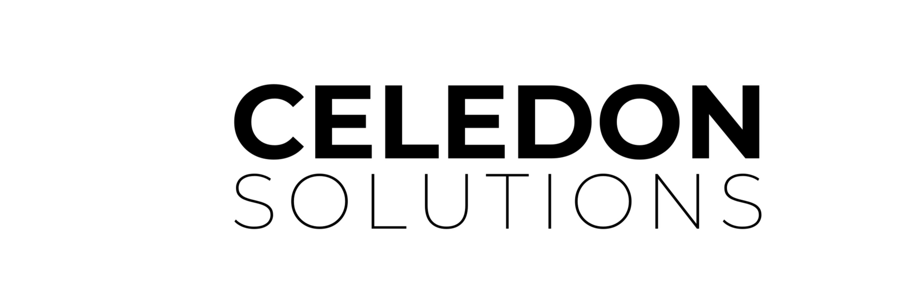 Celedon Solutions Inc.