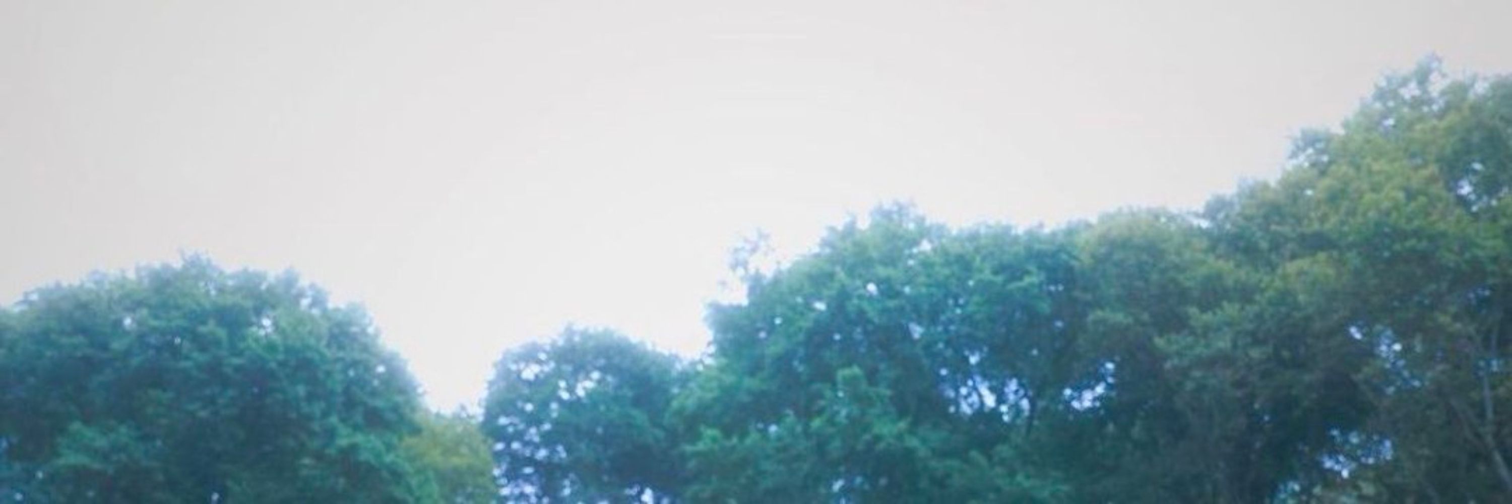 페리
