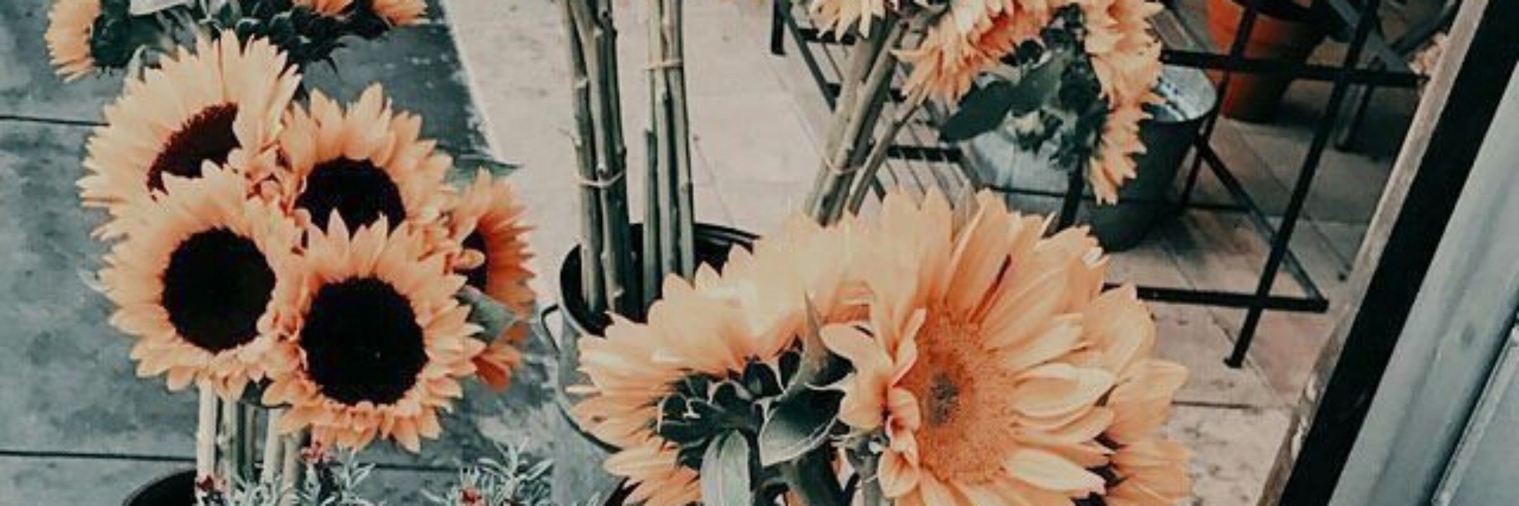 Thai 🌻