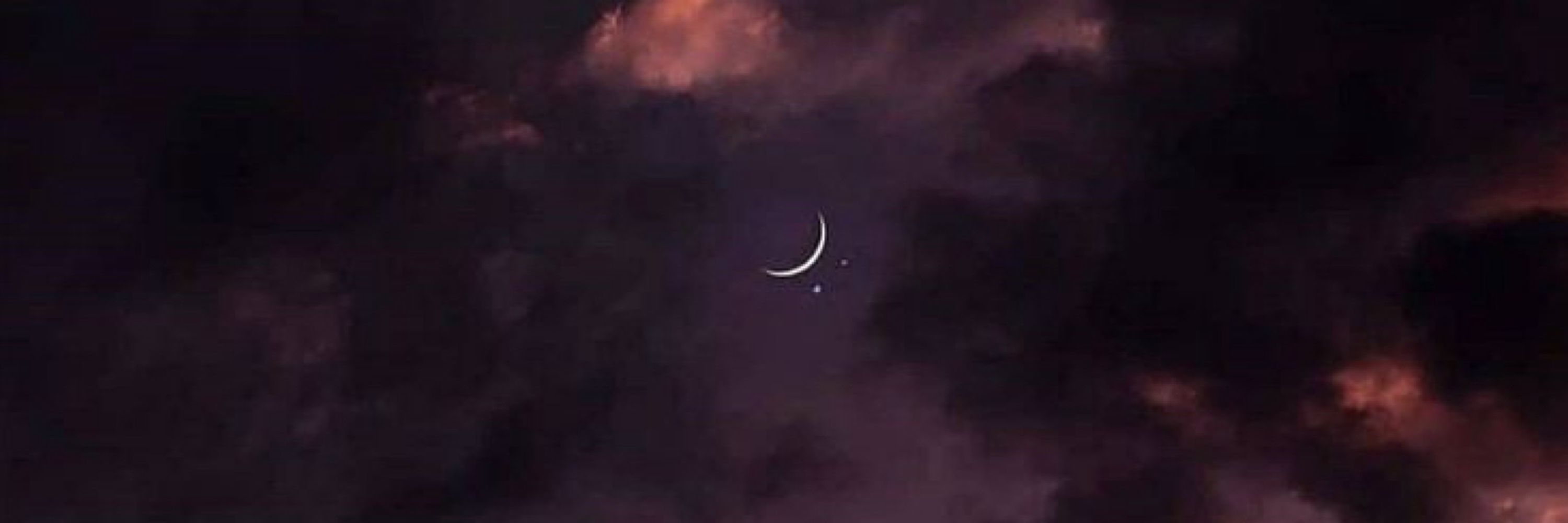 rosie 🌙