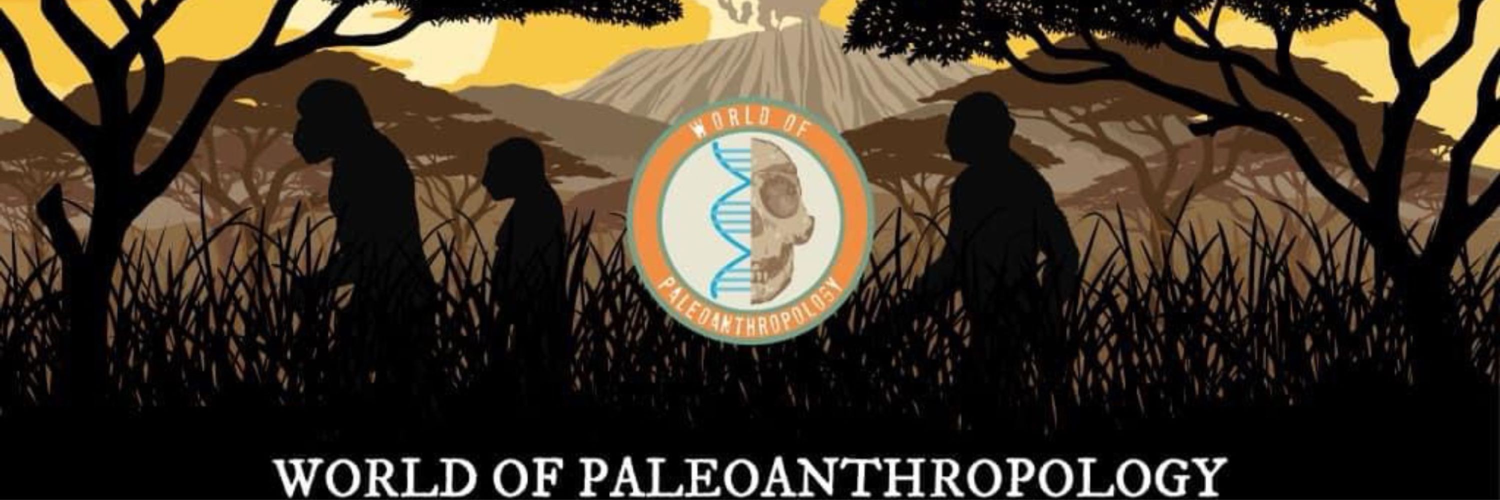Seth Chagi (World of Paleoanthropology🏺)