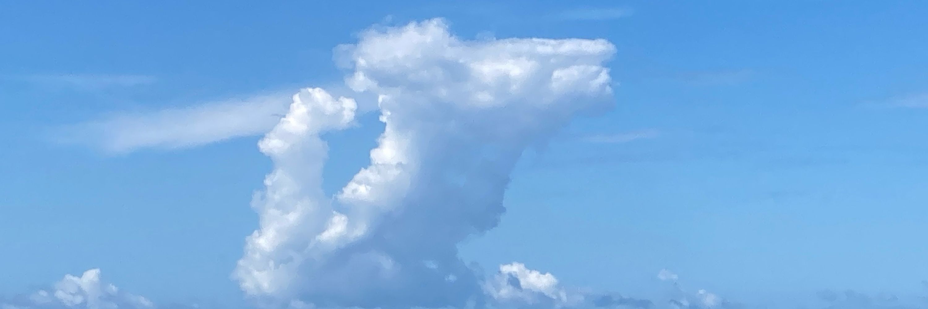 遠州
