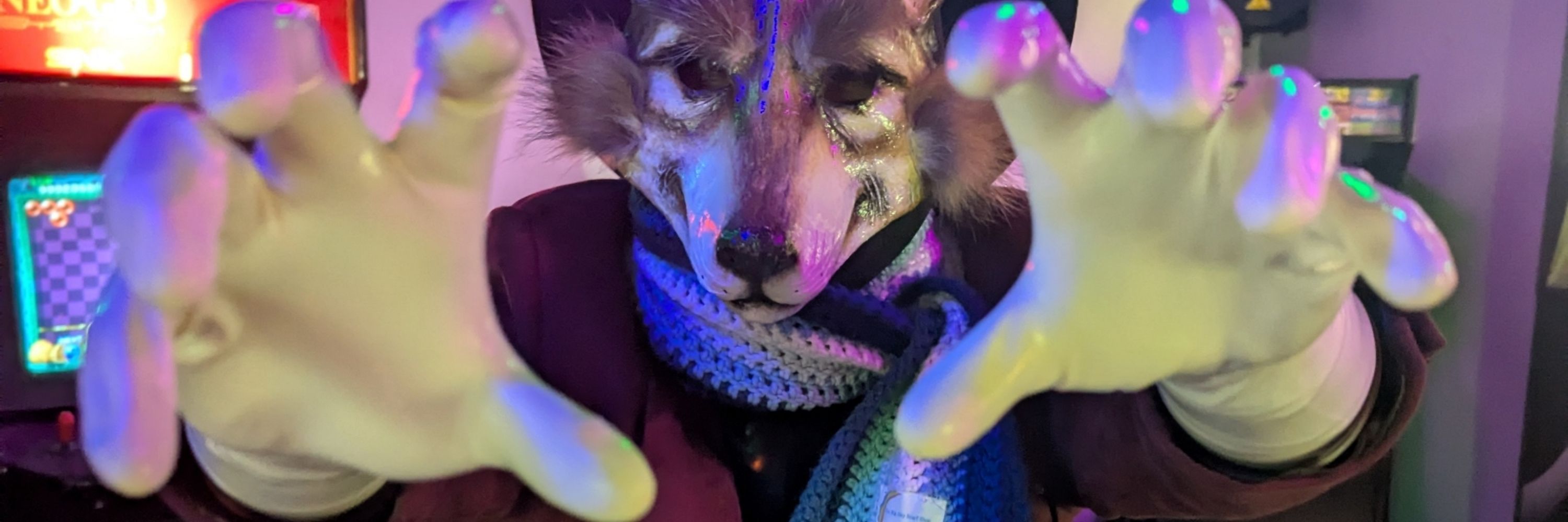 Tiramisu Coyote