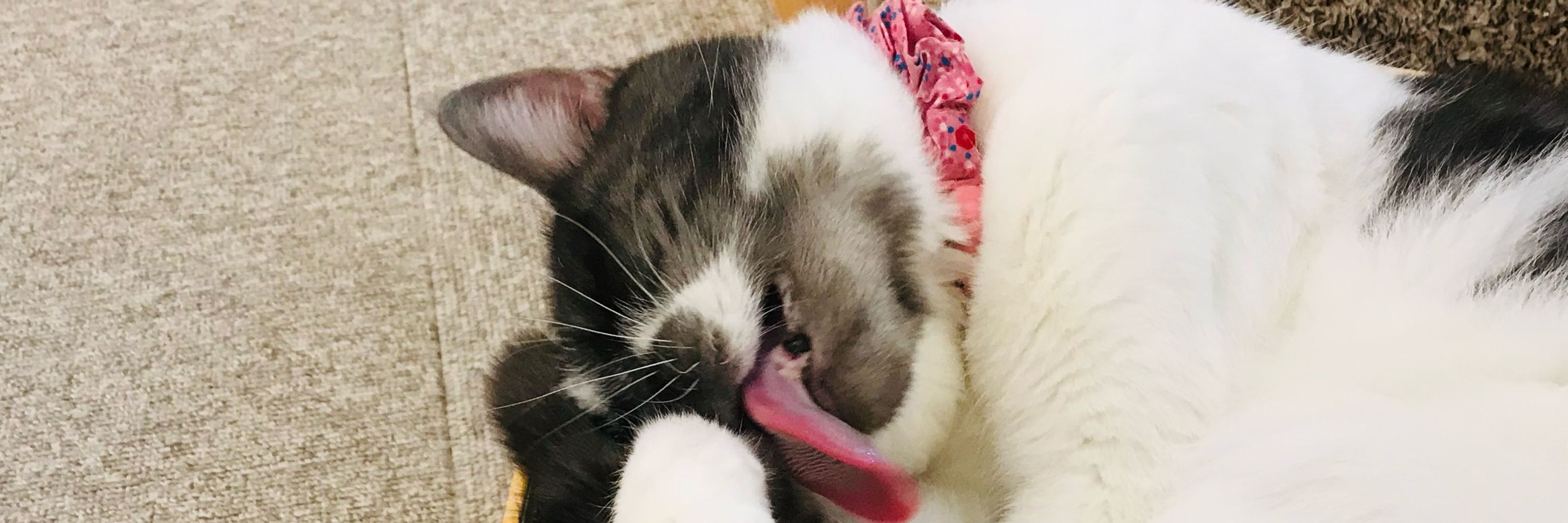 たくあん