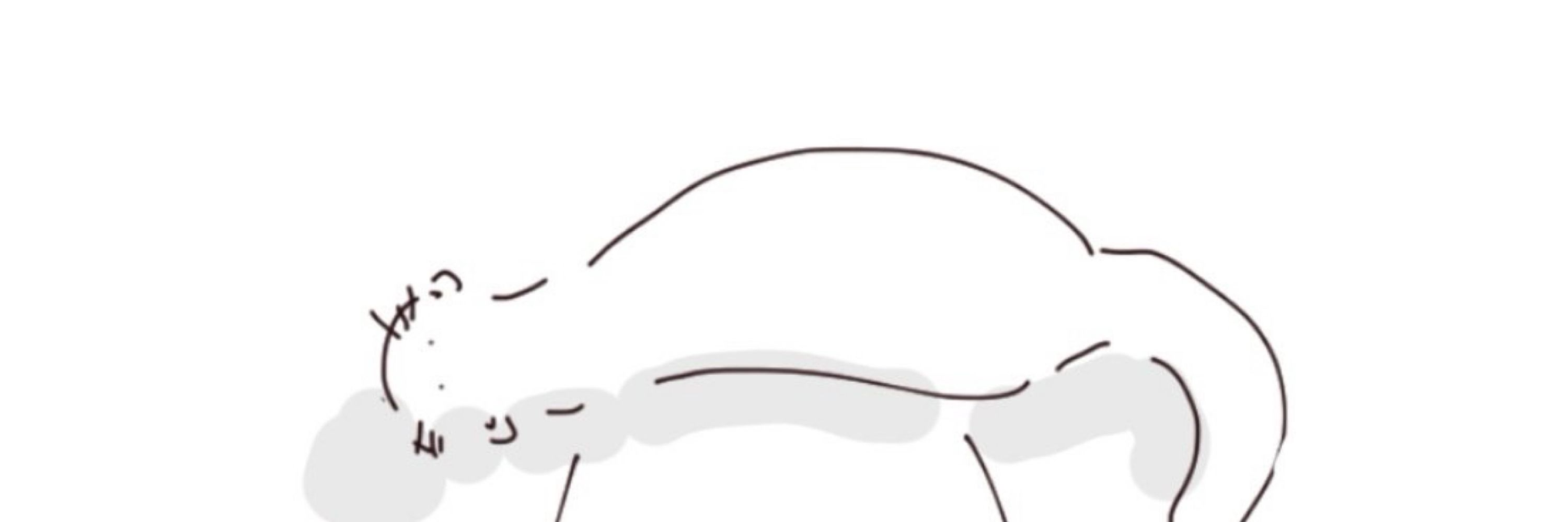 さっと