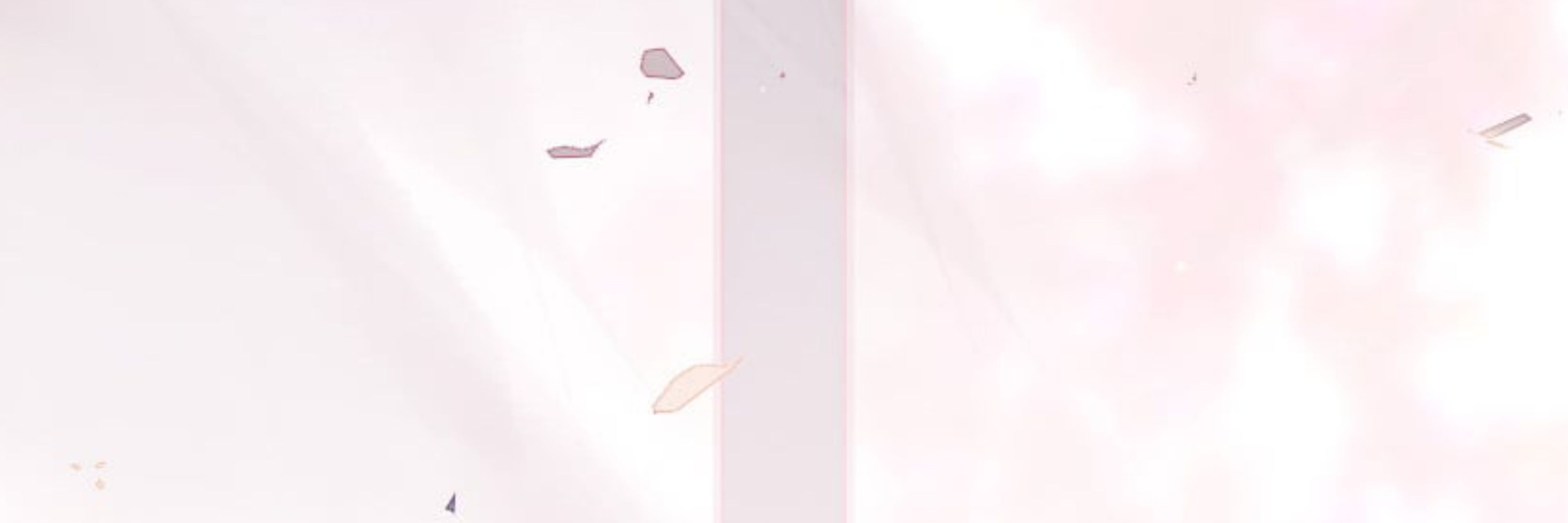 ɹǝı