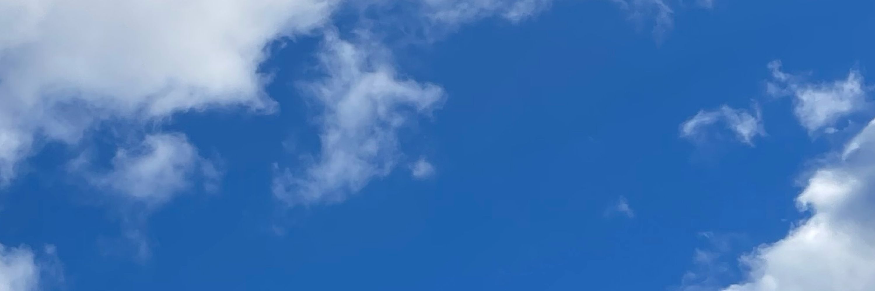 𝘔𝘐𝘚𝘈𝘛𝘖 🏝️