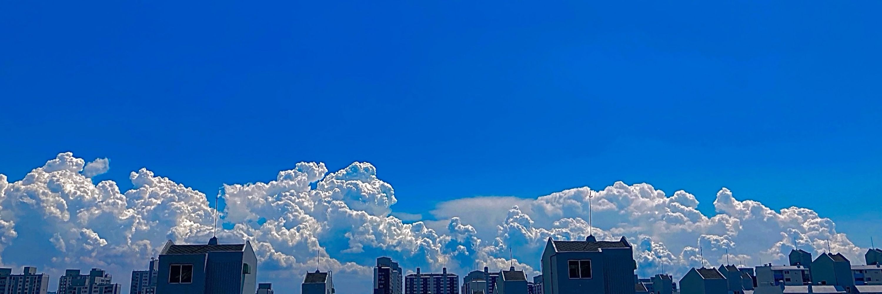 제이