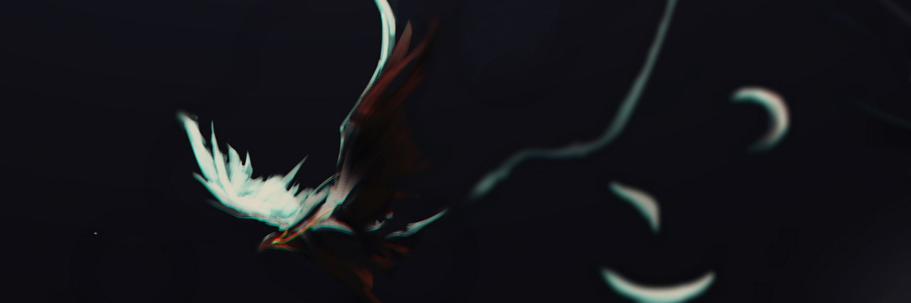 ✧ Raito