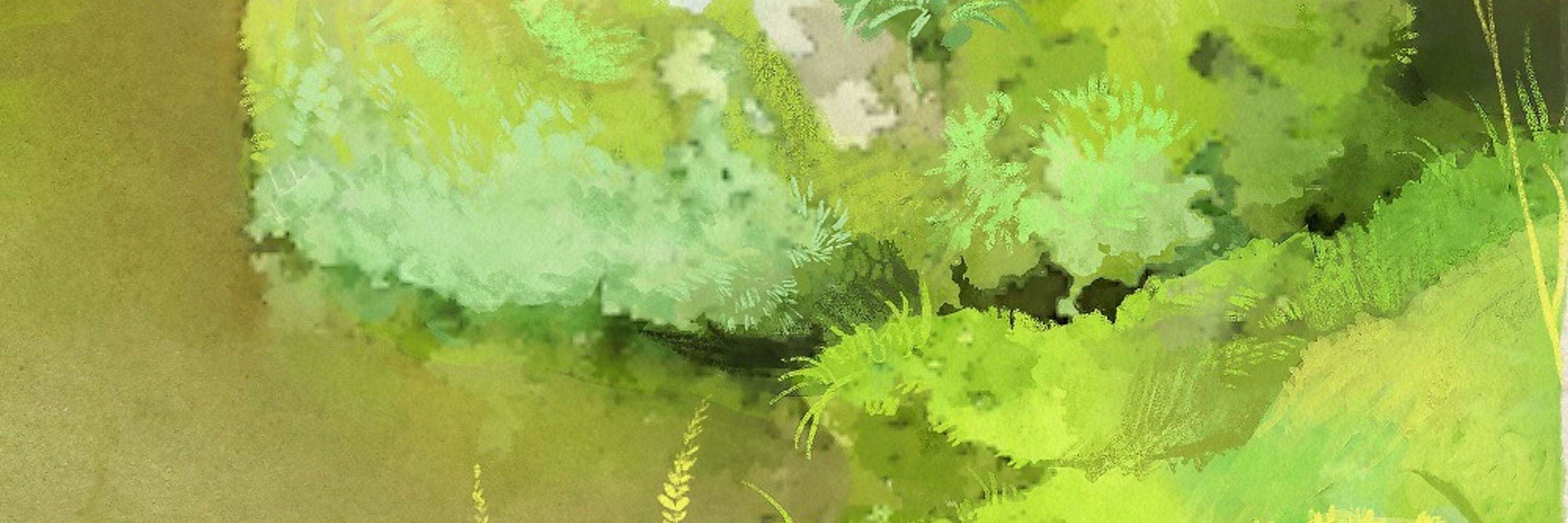 kim 🌱