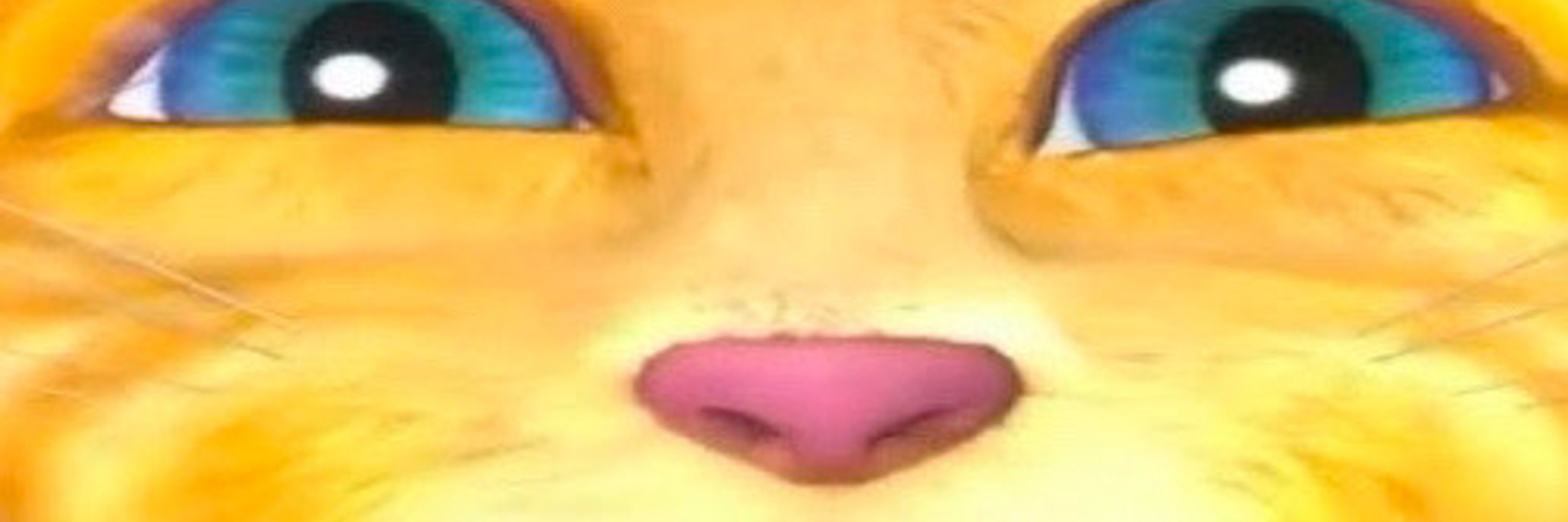 feddy