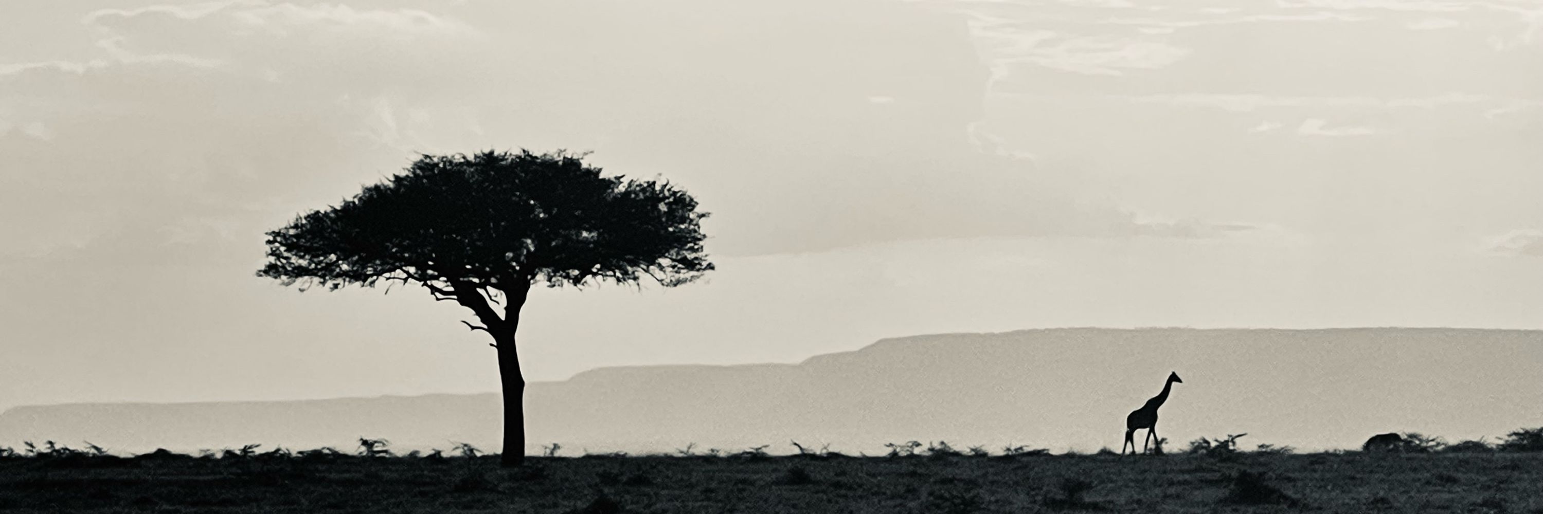 Simon Walters