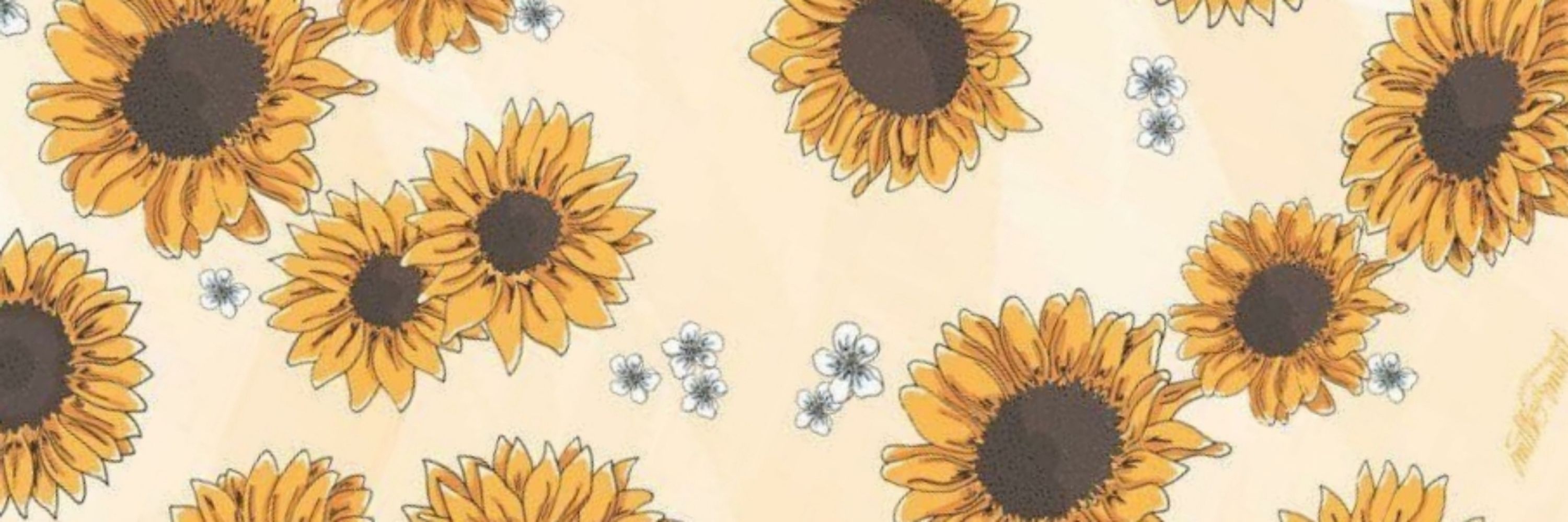 Maël 🌻
