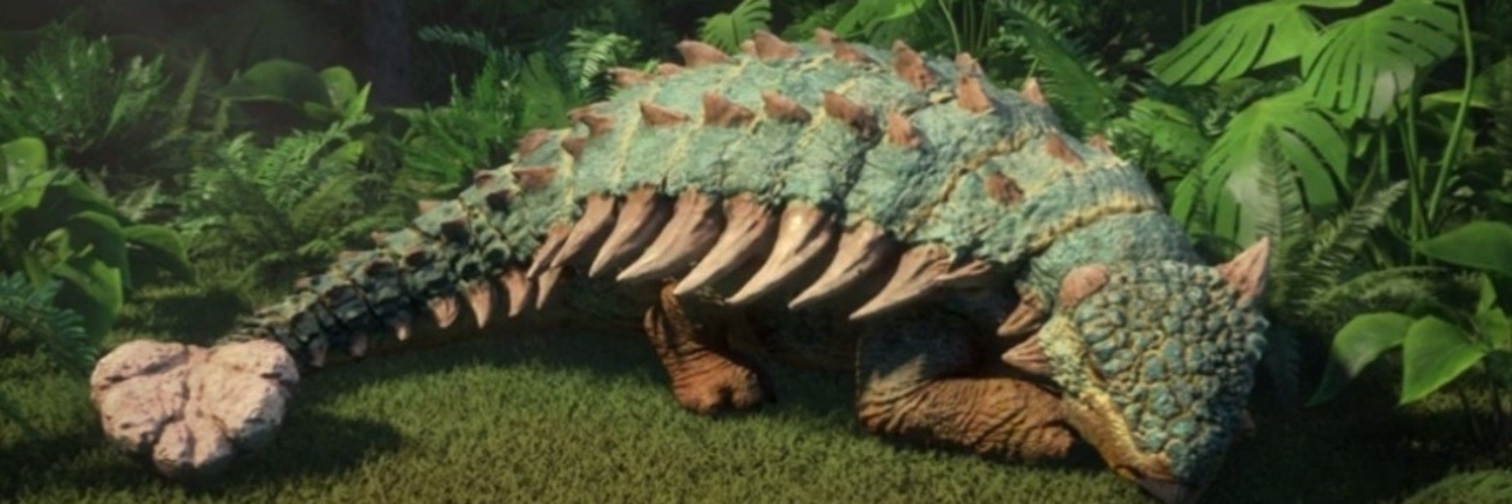 Terry