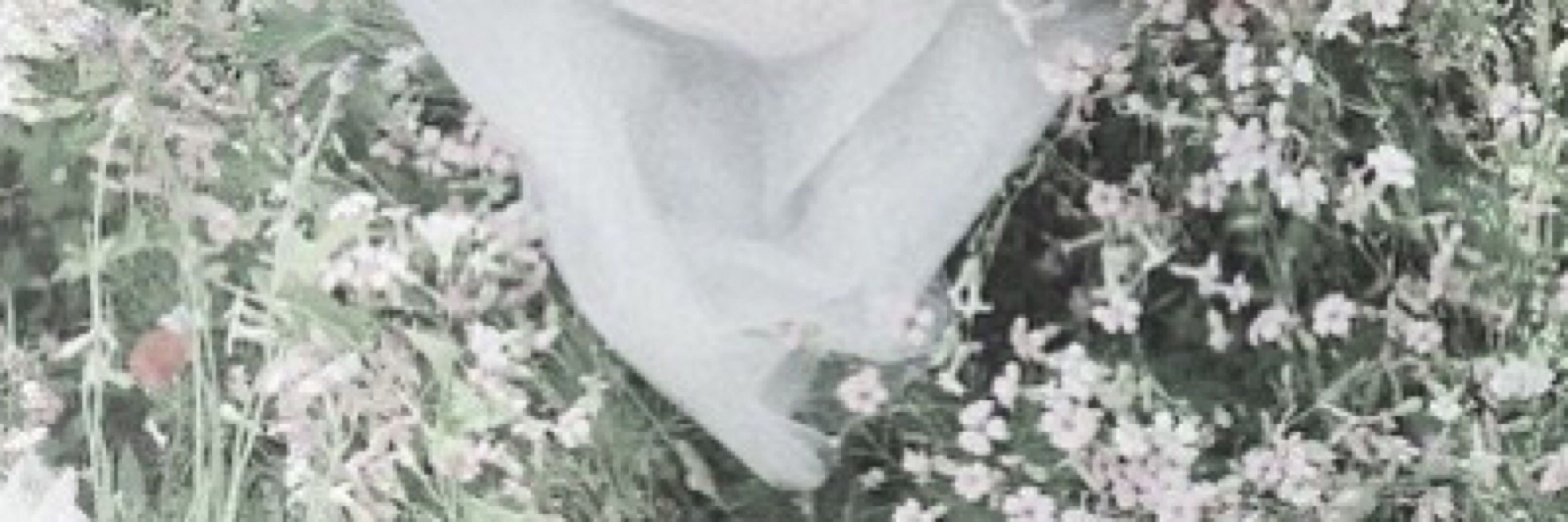 𝖶͟𝗁͟𝗂͟𝗍͟𝗇͟𝖾͟𝗒͟.🕊
