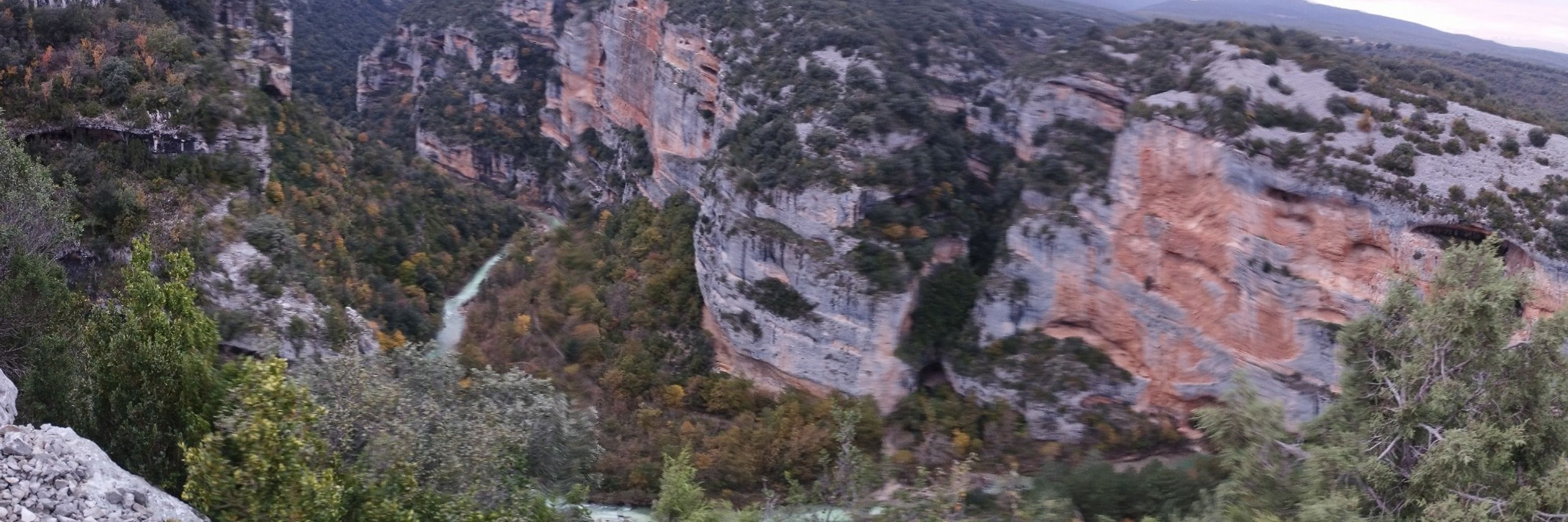 CusCusBcn