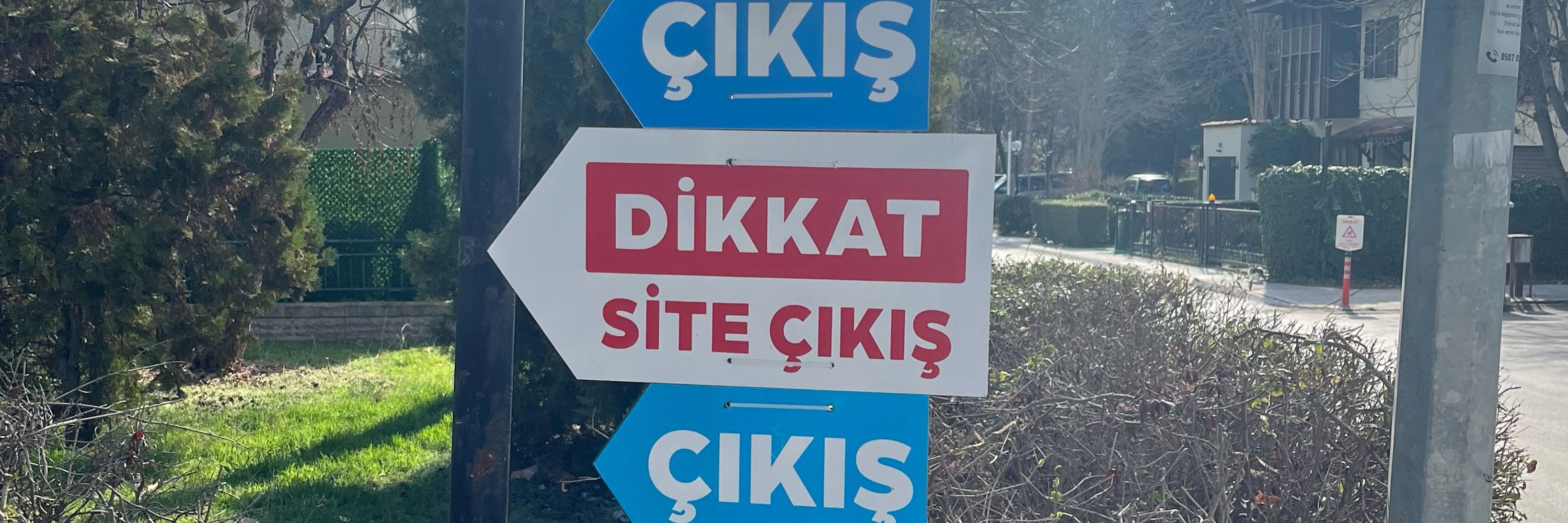 Cevad Nesrinzade 🏍️