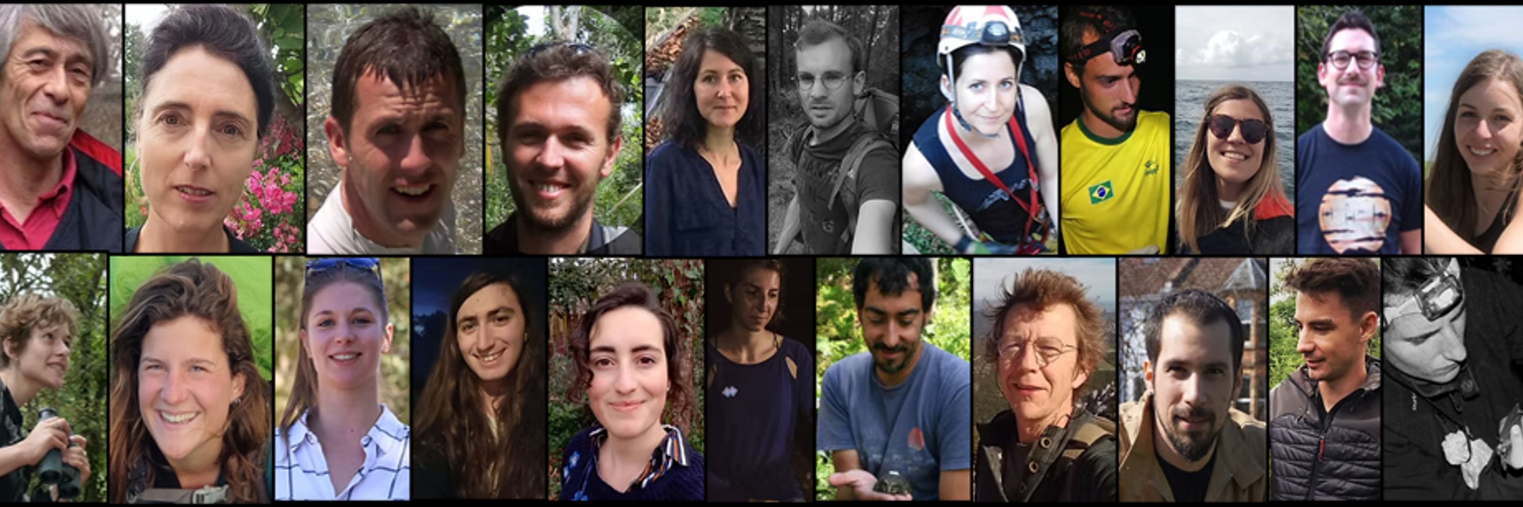 Bat Research Team
