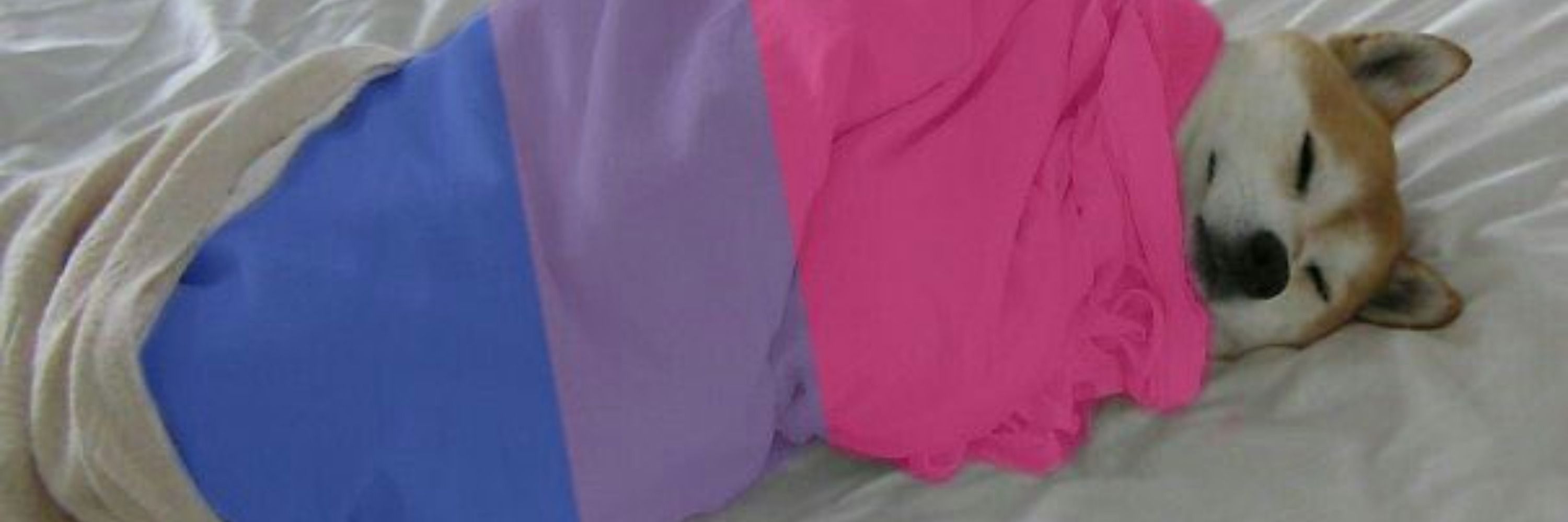 lua 