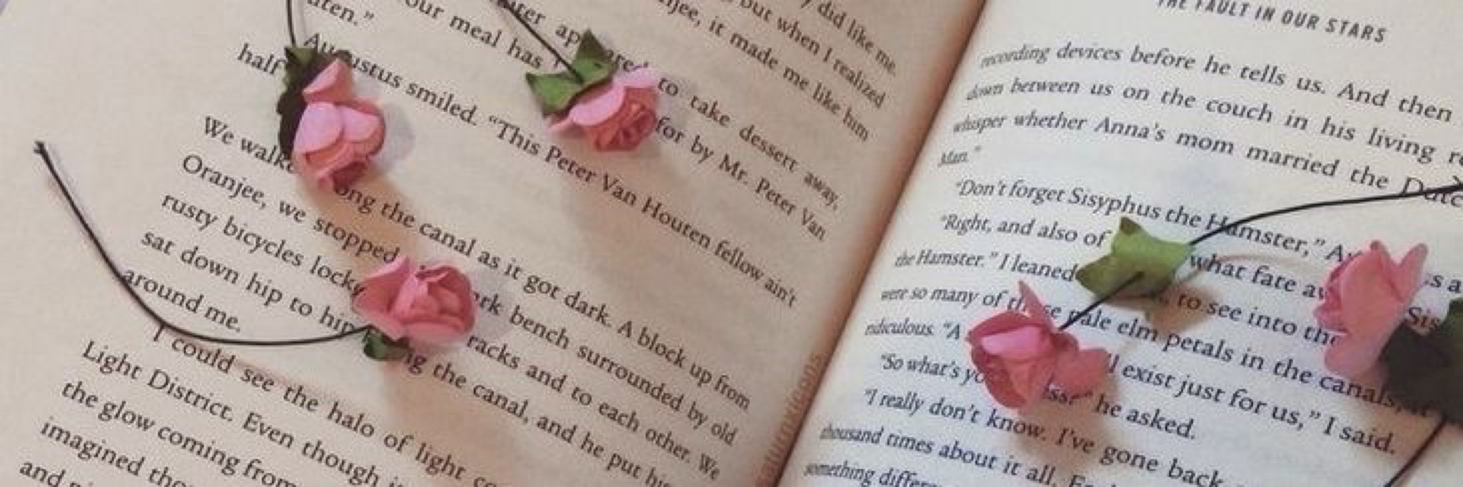 𝑳𝒂𝒓𝒂 𝒗𝒊𝒊