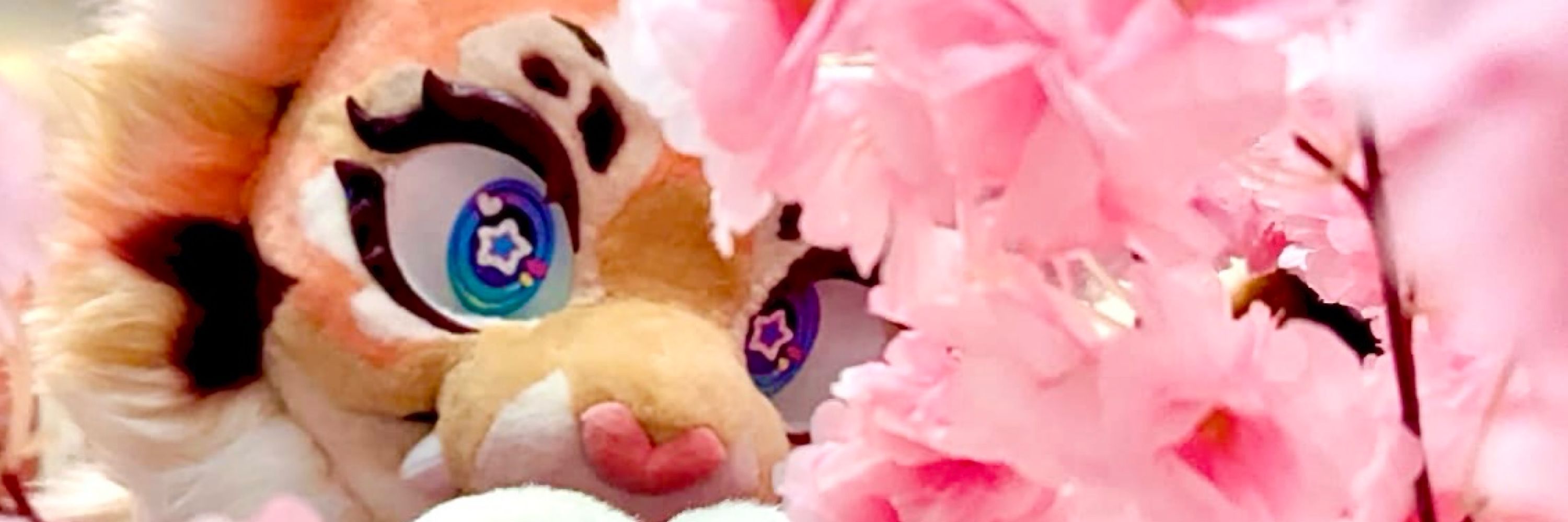 PixlPanda @ LBM/MCC J207