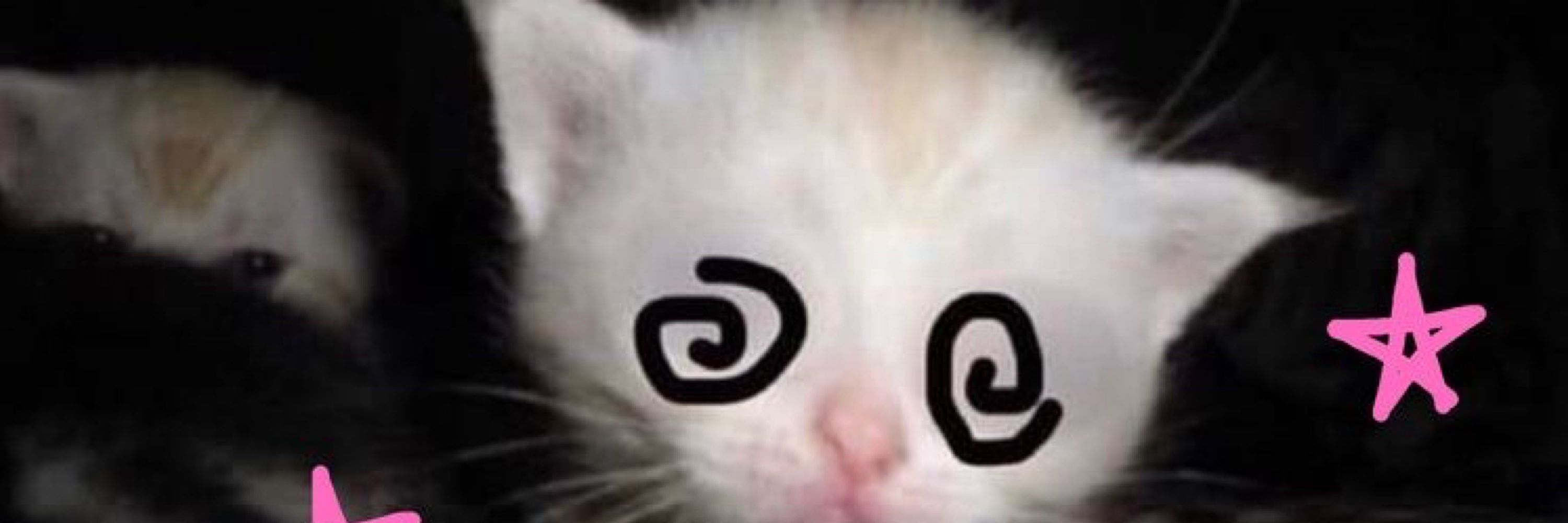 ami