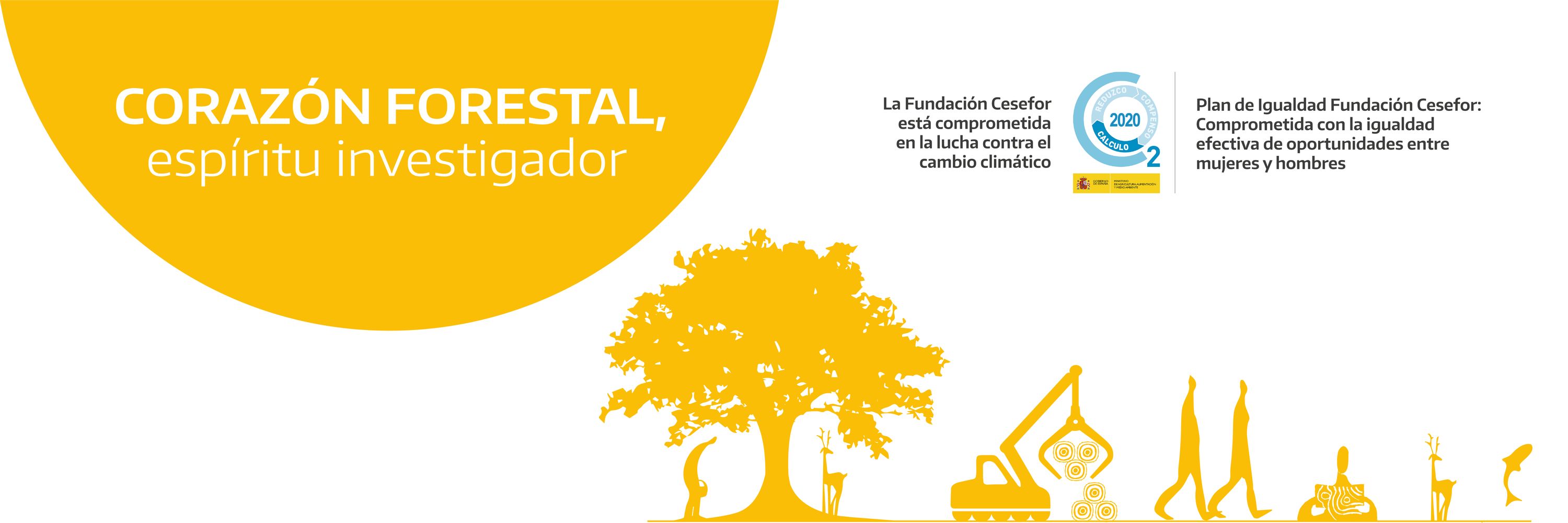 Fundación Cesefor