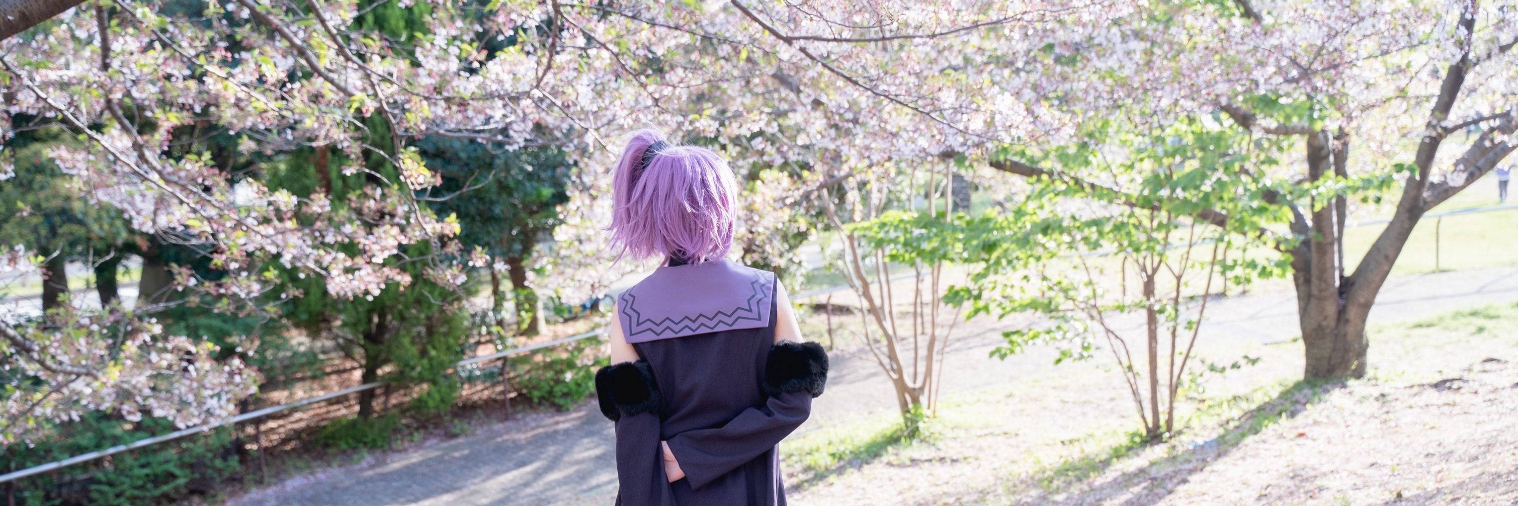 きなこ