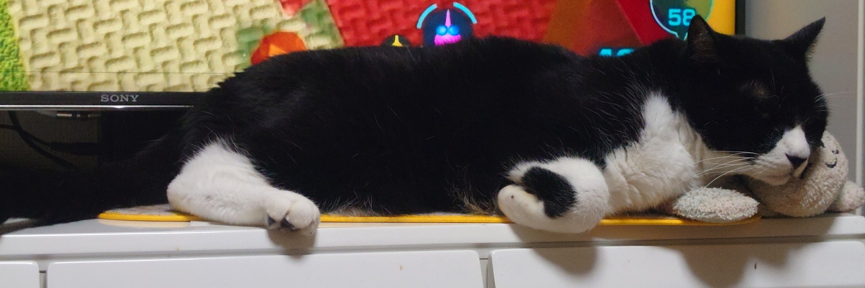 しもつき