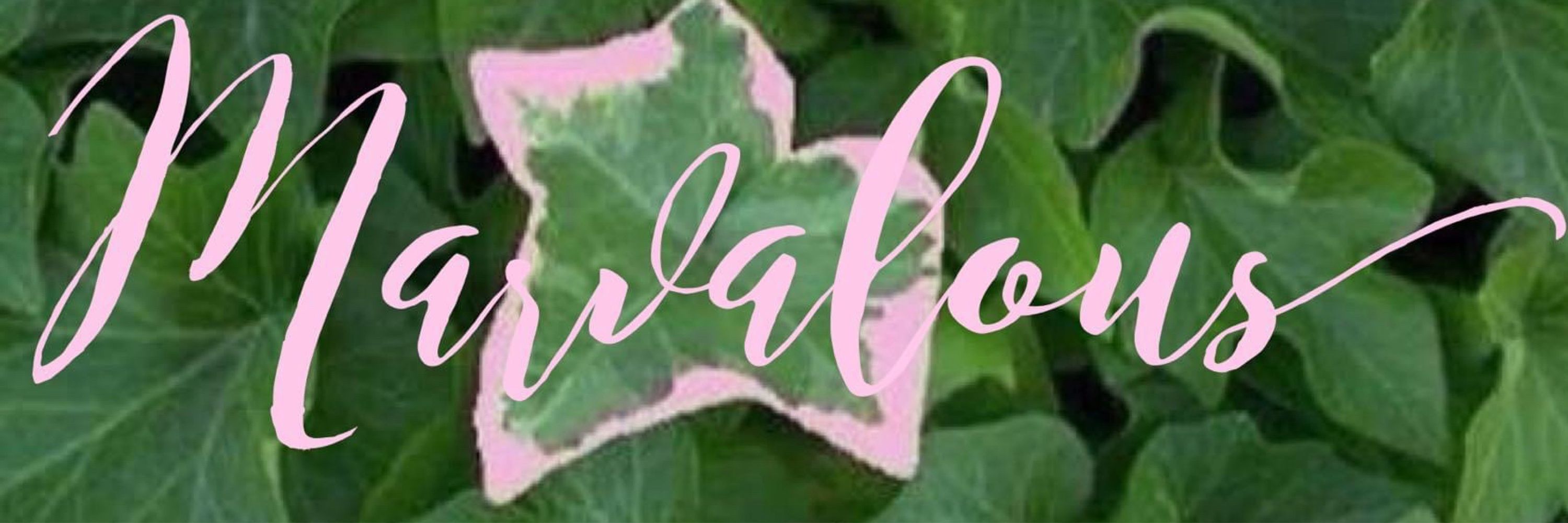Marva