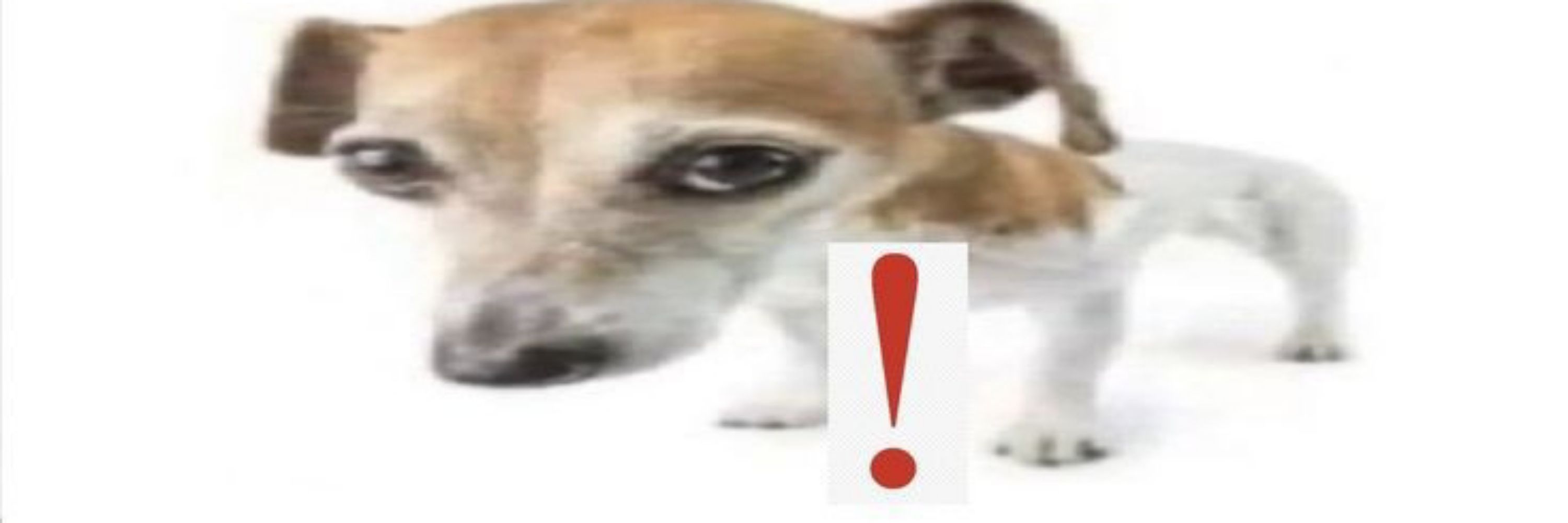 #𝙀𝙎𝙏𝙐𝘿𝙊-𝘾𝙐𝙇𝙋𝙊𝙎𝙊#