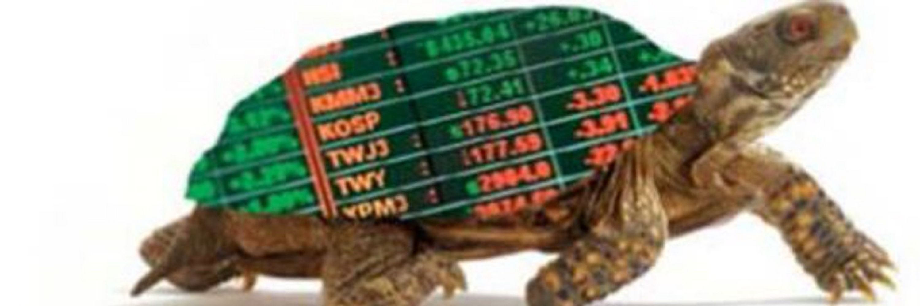 The Real Turtle 🐢💸🇮🇱🍷