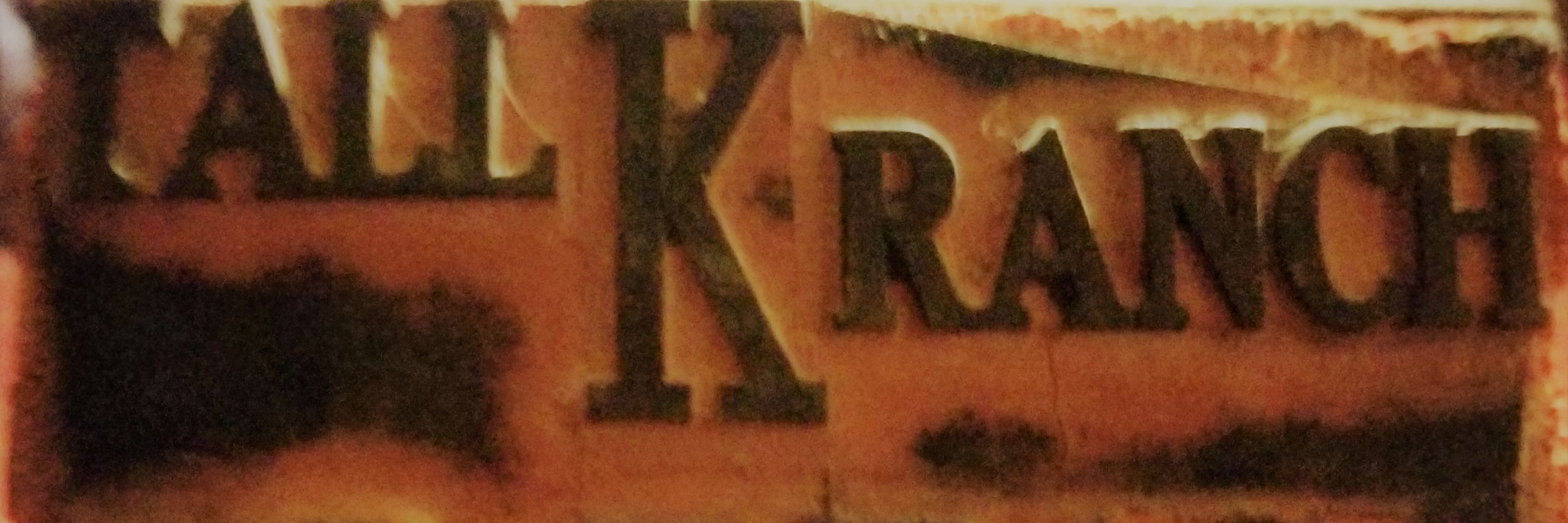 T. K. the Resister