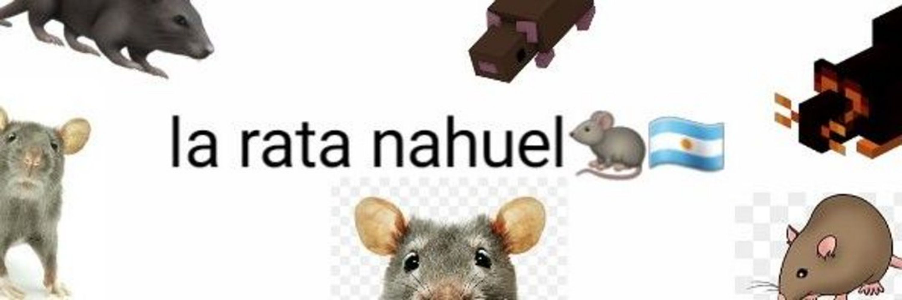 La Rata Nahuel 🇦🇷🐀