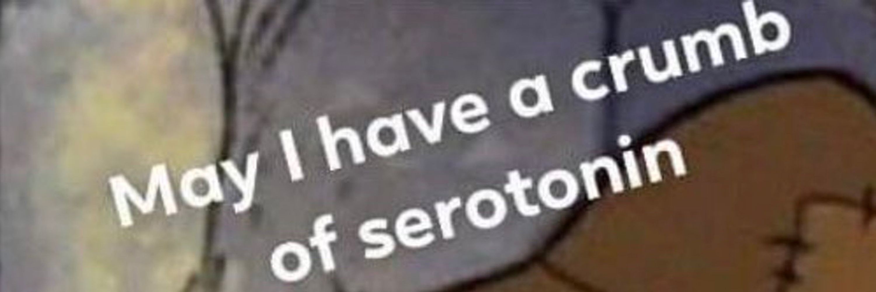 JesseRobster