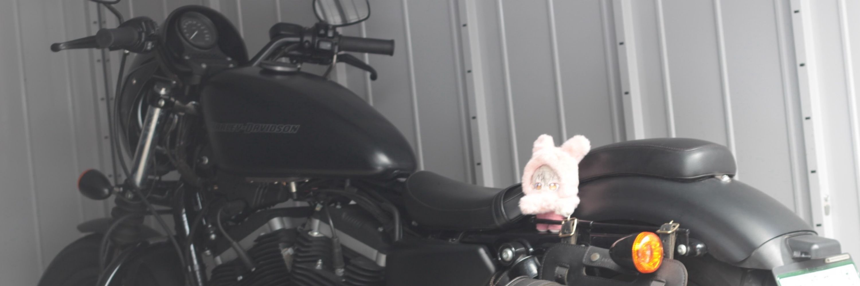 じょん