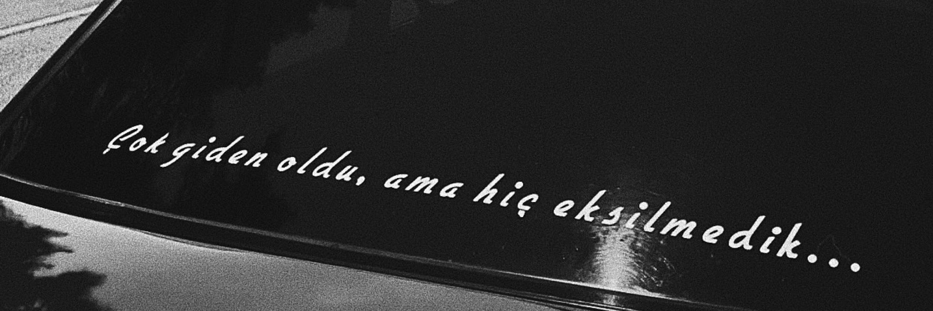 Gamze Tanir