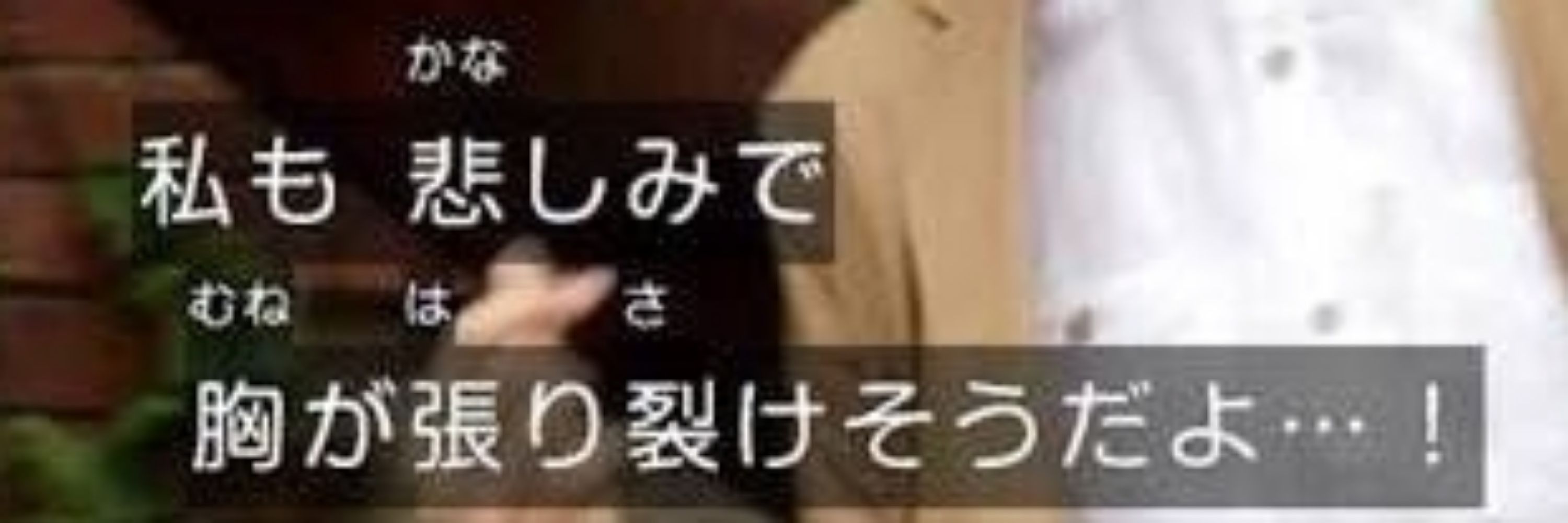 塵芥仁邪
